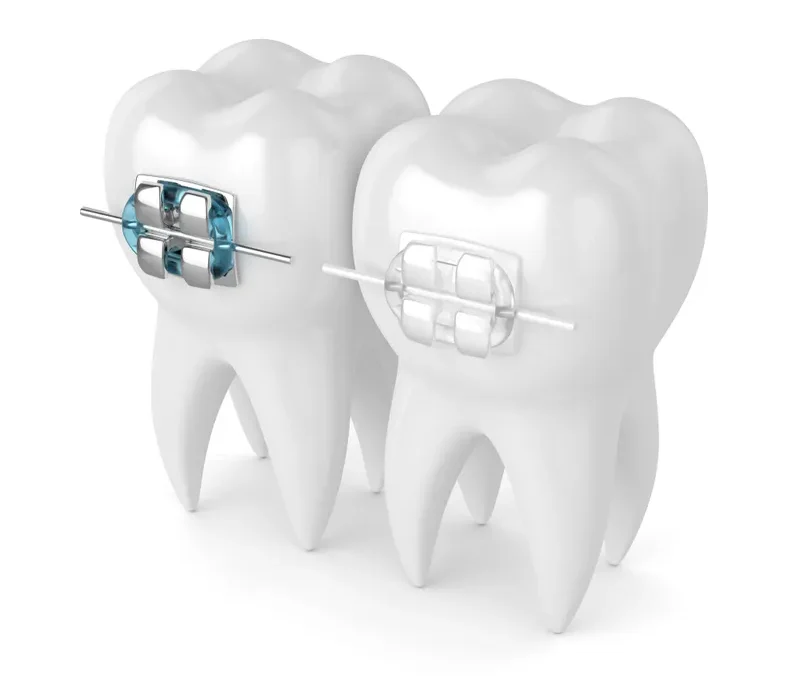 nieng-rang-mac-cai-pha-le-2